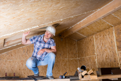 Attic inspection